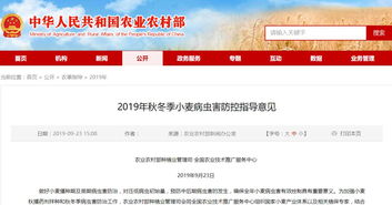 全國(guó)農(nóng)業(yè)技術(shù)推廣服務(wù)中心發(fā)布2019年秋冬季小麥主產(chǎn)區(qū)重點(diǎn)病蟲(chóng)害防控指南 提前預(yù)防，科技助力軟件開(kāi)發(fā)