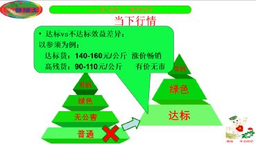 撫松縣人參產業重大技術協同推廣項目培訓會開講 科技賦能，助力人參產業高質量發展
