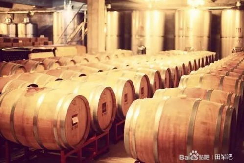 田軍 北大校友手握百億,在小鎮(zhèn)買下170畝地,要建中國最美的精品酒莊